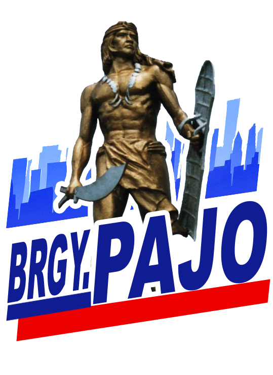 BARANGAY PAJO MANAGEMENT INFORMATION SYSTEM